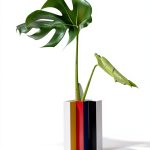 House Plants Guide Kindle Edition Bloomsbury Gardening Book 2022-0