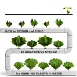 Hydroponic Gardening Guide by Cool Springs Press Kindle eBook-0