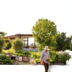 Landscape Architecture Book by Artisan - Kindle Edition-0
