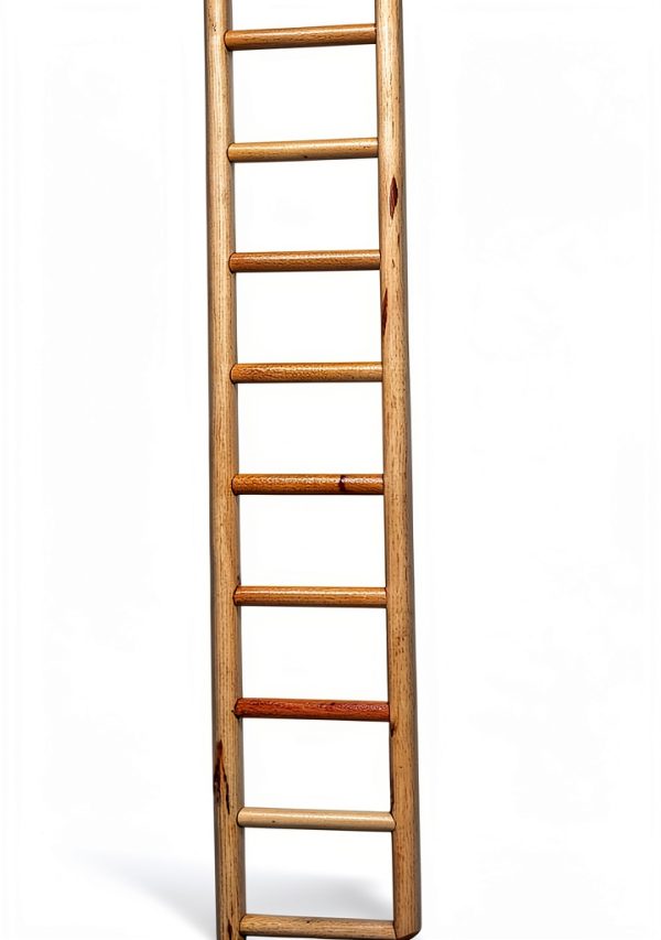 Birdie Basics 11-Step Wooden Ladder 17-Inch Climbing Toy for Pet Birds Parrots Cockatiels Budgies Cage Accessory Interactive Play Exercise Perch Durable and Safe Design-2