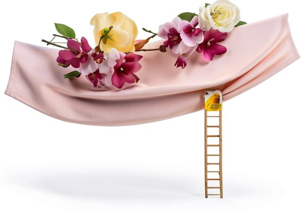 Birdie Basics 11-Step Wooden Ladder 17-Inch Climbing Toy for Pet Birds Parrots Cockatiels Budgies Cage Accessory Interactive Play Exercise Perch Durable and Safe Design-4