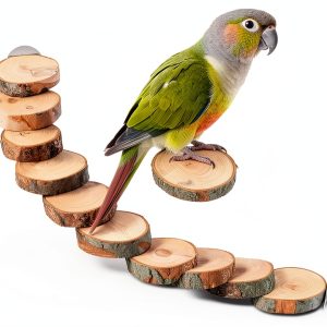 Bird Ladder Kisangel Wood Perch Toy for Parrots Light Brown 40x6x3cm-0