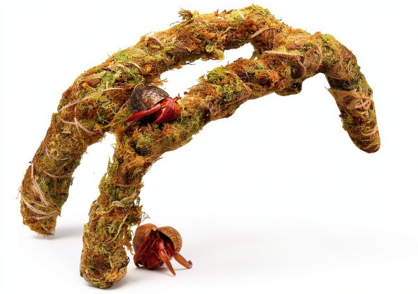 15 Inch Hermit Crab Climbing Toys NANEEZOO Accessory with Real Moss-0