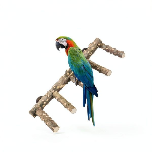 Bird Ladder Perch for Cage - Natural Wooden Bridge, Exercise Stands for Parrot Climbing - Pet Training Ladders - Hanging Playground -Toys for Parakeet, Cockatiel, Conures, Lovebirds, Budgie-1