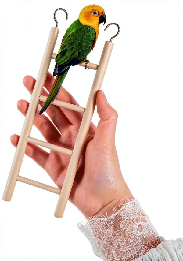 Wooden Bird Ladder 4 Sizes by EupHHonycs with Stainless Steel Hooks-2