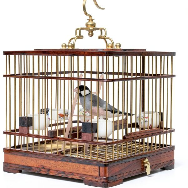 Wooden Bird Ladder Set 4pcs Natural Wood Parrot Cage Toy by Gtziqa-3