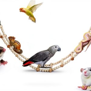 Long Bird Ladder with Wooden Rungs and Beads MinrzPet Accessory YWTZDQ-0