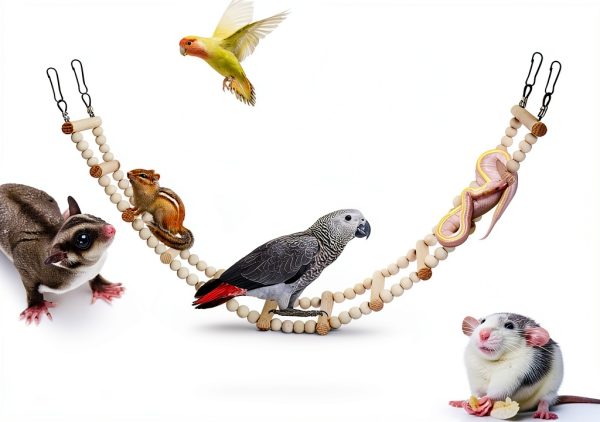 Long Bird Ladder with Wooden Rungs and Beads MinrzPet Accessory YWTZDQ-0