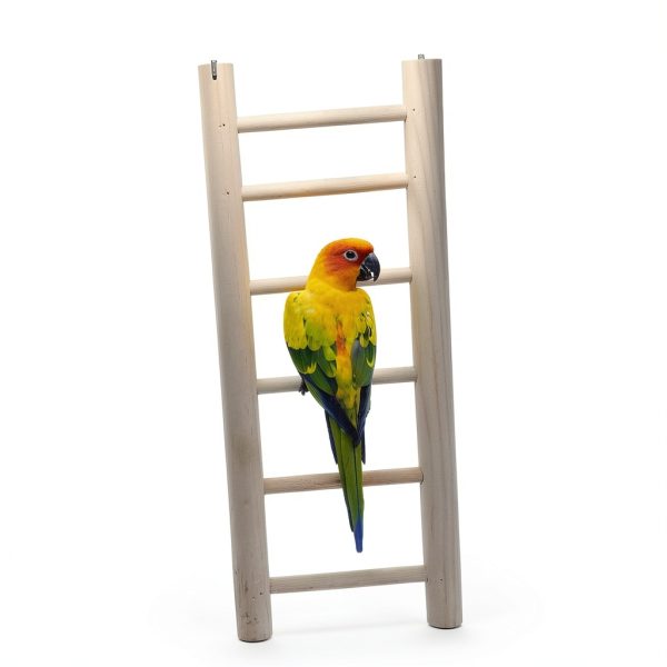 Bird Perches Platform by kathson – Ladder Swing with Food Bowls-3