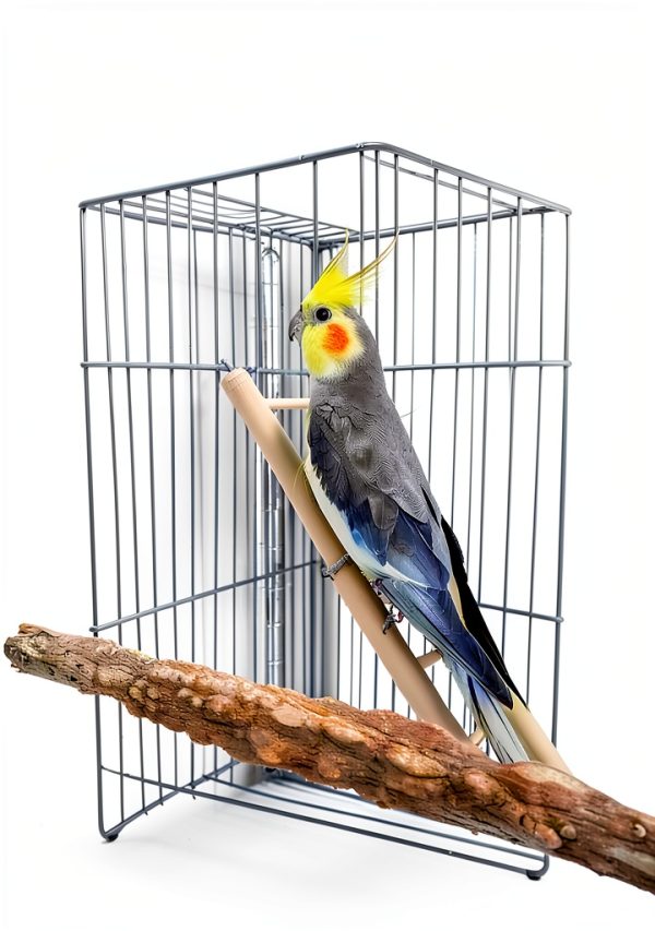 5pcs Wooden Bird Ladder for Parrots Cage 5 Basic Sizes Perch Parakeet Climbing Toys Hanging Pet Natural Step Cockatoo Lovebirds-5