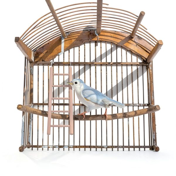 Wooden Bird Ladder Set 4pcs Natural Wood Parrot Cage Toy by Gtziqa-6