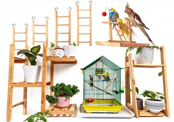 Wooden Bird Ladder 4 Sizes by EupHHonycs with Stainless Steel Hooks-3