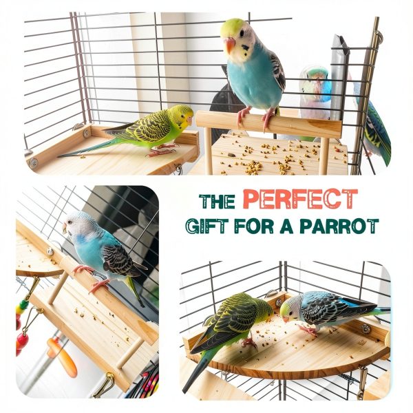 Bird Perches Platform Swing 3PCS Natural Wood Ladder Set by Sysmashing-5