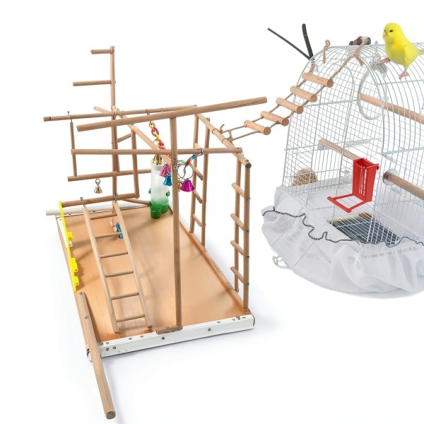 Wooden Bird Ladder by Quilax 4 Piece Set for Parrots-5