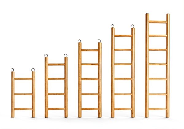 5pcs Wooden Bird Ladder for Parrots Cage 5 Basic Sizes Perch Parakeet Climbing Toys Hanging Pet Natural Step Cockatoo Lovebirds-6