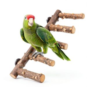 Bird Ladder Harvestkey Wood Perch for Small Medium Parrots CW240-0