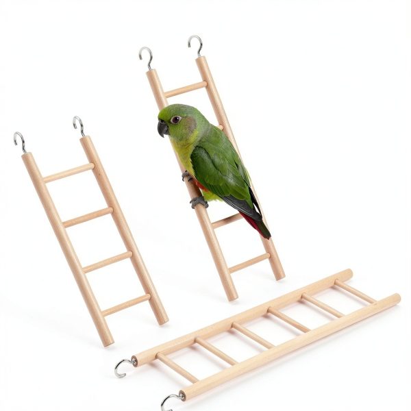 Wooden Bird Ladder 3 Pack by Sliverdew - Pine and Steel for Parakeets-3
