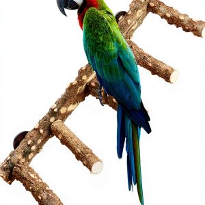 Bird Ladder Perch for Cage - Natural Wooden Bridge, Exercise Stands for Parrot Climbing - Pet Training Ladders - Hanging Playground -Toys for Parakeet, Cockatiel, Conures, Lovebirds, Budgie-0