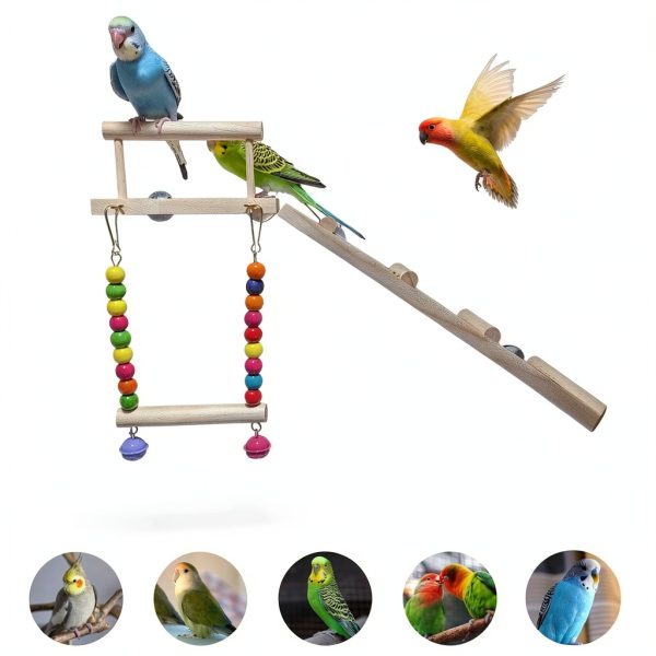 Bird Perches Platform Swing 3PCS Natural Wood Ladder Set by Sysmashing-4