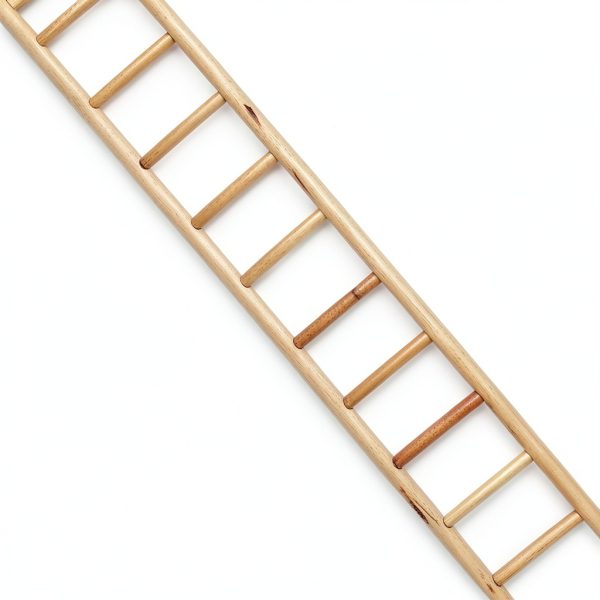 Birdie Basics 11-Step Wooden Ladder 17-Inch Climbing Toy for Pet Birds Parrots Cockatiels Budgies Cage Accessory Interactive Play Exercise Perch Durable and Safe Design-1