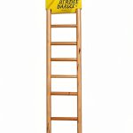 Birdie Basics 11-Step Wooden Ladder 17-Inch Climbing Toy for Pet Birds Parrots Cockatiels Budgies Cage Accessory Interactive Play Exercise Perch Durable and Safe Design-0