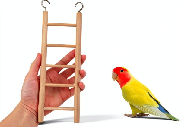 Wooden Bird Ladder by Quilax 4 Piece Set for Parrots-3