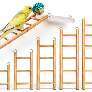 5pcs Wooden Bird Ladder for Parrots Cage 5 Basic Sizes Perch Parakeet Climbing Toys Hanging Pet Natural Step Cockatoo Lovebirds-0