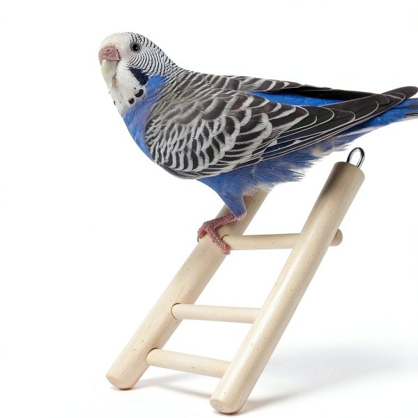 Wood Step Ladder for Birds - Kigeli 6 Sizes Hanging Cage Toy-6