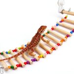 Bearded Dragon Window Ladder 21.6x7.1 by FlidRunest with Suction Cups-0
