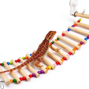 Bearded Dragon Window Ladder 21.6x7.1 by FlidRunest with Suction Cups-0