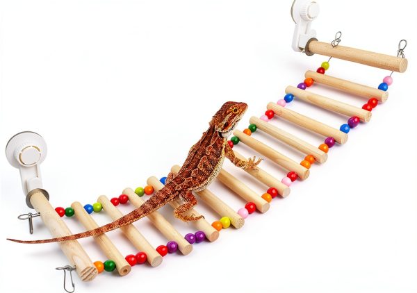 Bearded Dragon Window Ladder 21.6x7.1 by FlidRunest with Suction Cups-0