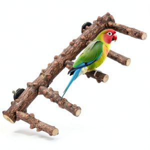 Bird Ladder Perch by Mogoko Natural Wood Parrot Cage Stand 11.8in-0