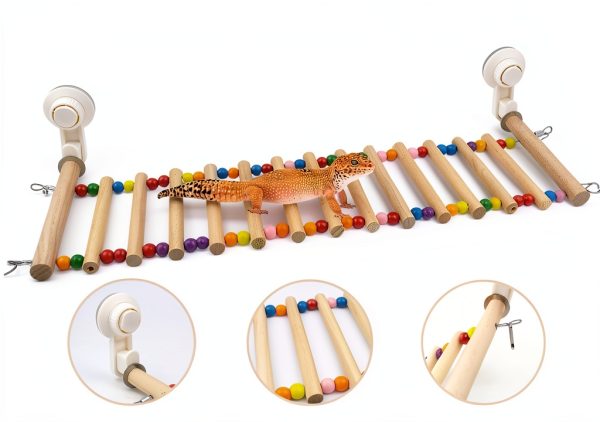 Bearded Dragon Window Ladder 21.6x7.1 by FlidRunest with Suction Cups-2