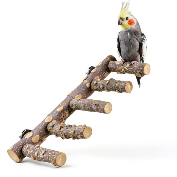 Natural Wood Bird Perch Ladder 12.2" for Parrots & Budgies awxzom-0