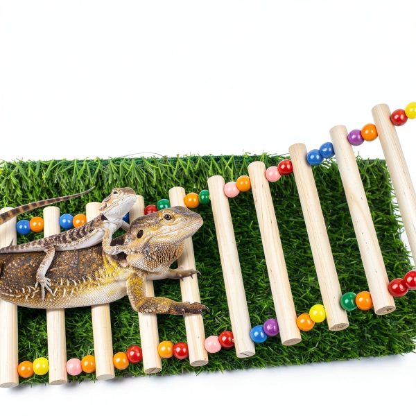 Bearded Dragon Window Ladder 21.6x7.1 by FlidRunest with Suction Cups-1