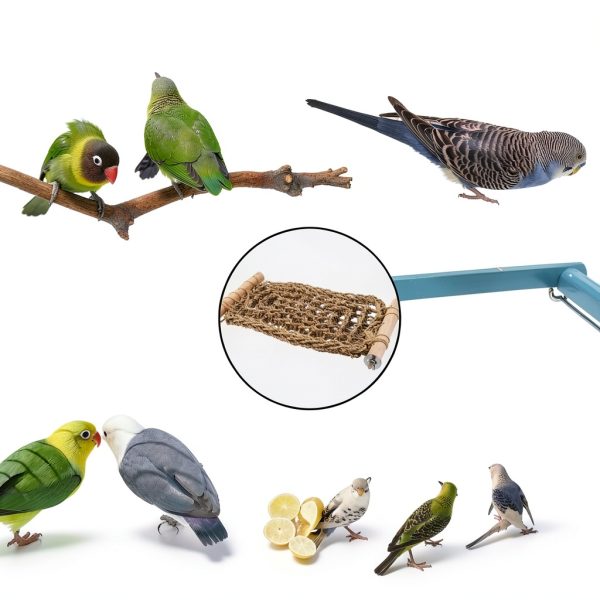 Bird Ladder Perch by FlidRunest Natural Seagrass Net Bridge for Conure-4