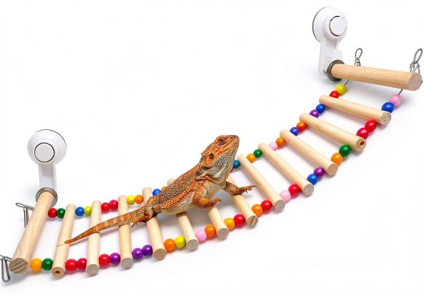 Bearded Dragon Window Ladder 21.6x7.1 by FlidRunest with Suction Cups-5