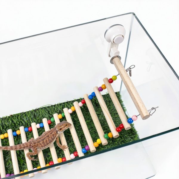 Bearded Dragon Window Ladder 21.6x7.1 by FlidRunest with Suction Cups-3