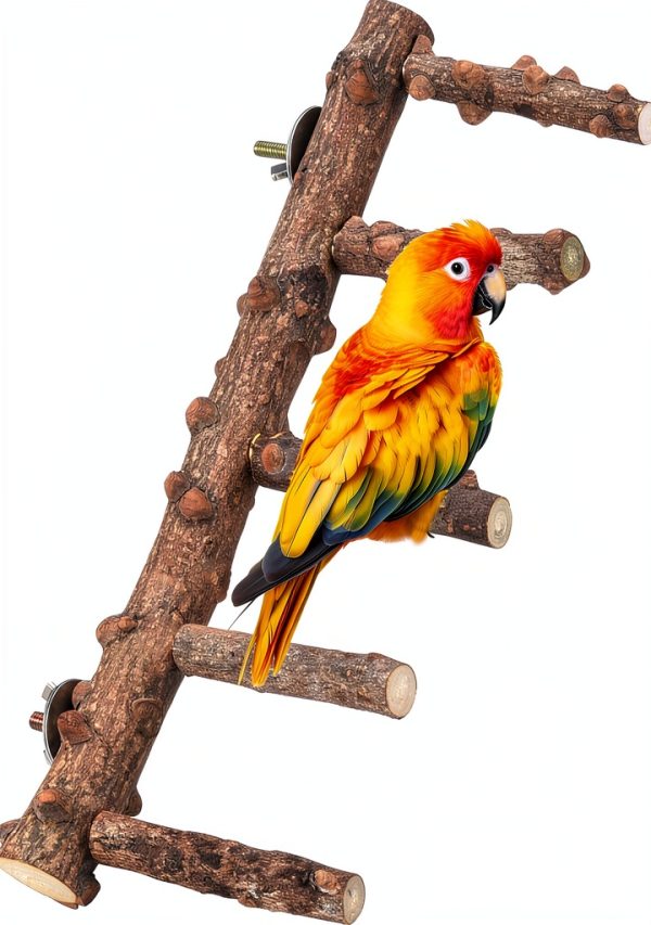 Bird Ladder Perch by Mogoko Natural Wood Parrot Cage Stand 11.8in-8
